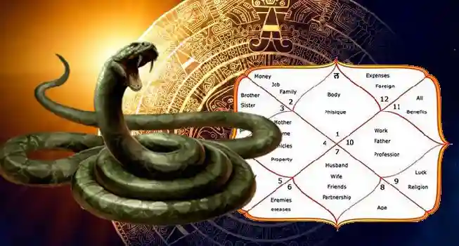 Kal Sarp Dosha Nivaran Puja01