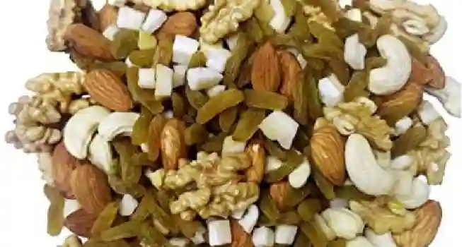 Khatu Shyam Prasad02