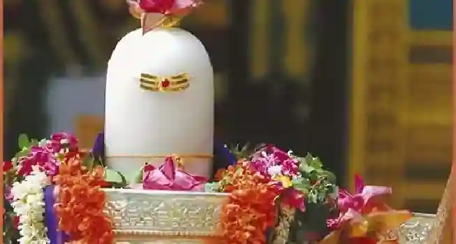 Maha Mrityunjaya Homam03