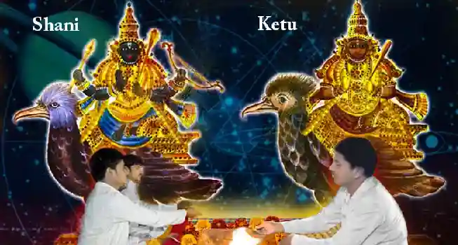 Shrapit (Shani-Rahu) Dosha Nivaran Puja01