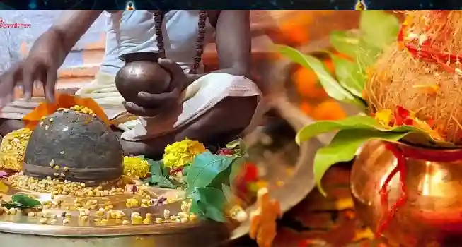 Shrapit (Shani-Rahu) Dosha Nivaran Puja03