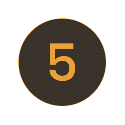 5 5